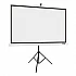 Екран Acer T82-W01MW 82.5" 6:10 Tripod Screen White