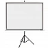 Екран Acer T87-S01MW 87" 4:3 Tripod White