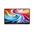 Монитор Acer PM161QB1bmiuux, 15.6" IPS, FHD, 60Hz, 4 ms, преносим, AdaptiveSync, HDMI, USB‑C, Blackcurrys.co