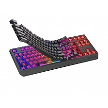 Gaming безжична клавиатура Genesis Thor 230 TKL US Black RGB Mechanical Outemu Red