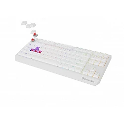 Gaming wireless keyboard Genesis Thor 230 TKL US White RGB Mechanical Outemu Red