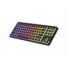 Механична геймърска клавиатура Genesis Thor 430 TKL Wireless, Outemu Pink, RGB, US, черна