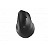 Mouse Natec Vertical Mouse Crake 2  BLUETOOTH 5.2 Right handed, black