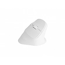 Безжична мишка Natec Vertical Crake 2 , 2400DPI Bluetooth 5.2 + 2.4 GHz White