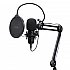 TRUST GXT270 Emita II Gaming Microphone with Arm