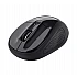 Wireless mouse TRUST Basics