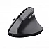 Mouse TRUST Bayo II Ergo Wireless Black