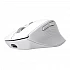 Mouse Trust Niven Comfort Multi-Wireless, white