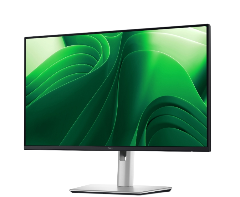 Monitor Dell P2425D 23.8 WQHD LED 2560x1440
