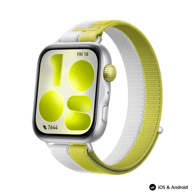 Smartwatch Huawei Watch Fit 5 Niki‑B19W, silverimage.jpg