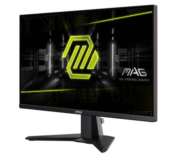 MSI MAG 255XF 24.5 0.5ms 300Hz Rapid IPS FHD Gaming Monitor