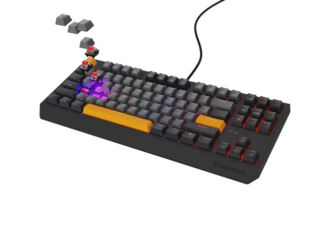 Gaming клавиатура Genesis Thor 230 TKL Anchor Gray Negative Red