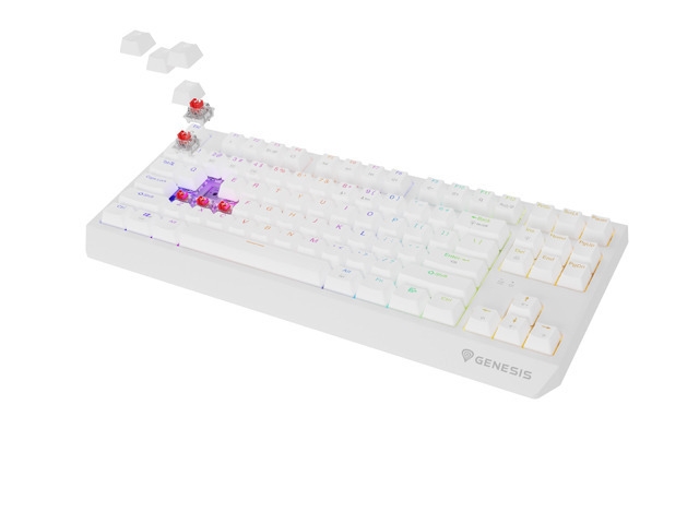 Gaming безжична клавиатура Genesis Thor 230 TKL US White RGB Mechanical Outemu Red