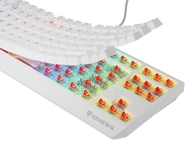 Gaming безжична клавиатура Genesis Thor 230 TKL US White RGB Mechanical Outemu Red