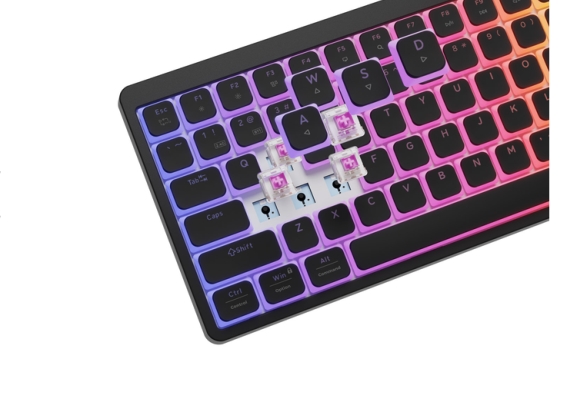 Genesis Thor 430 TKL Wireless mechanical gaming keyboard, Outemu Pink, RGB, US layout, black