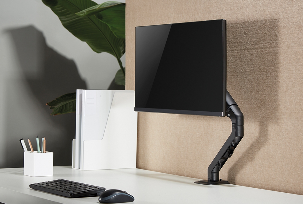 Stand for installation of screen on desk d650